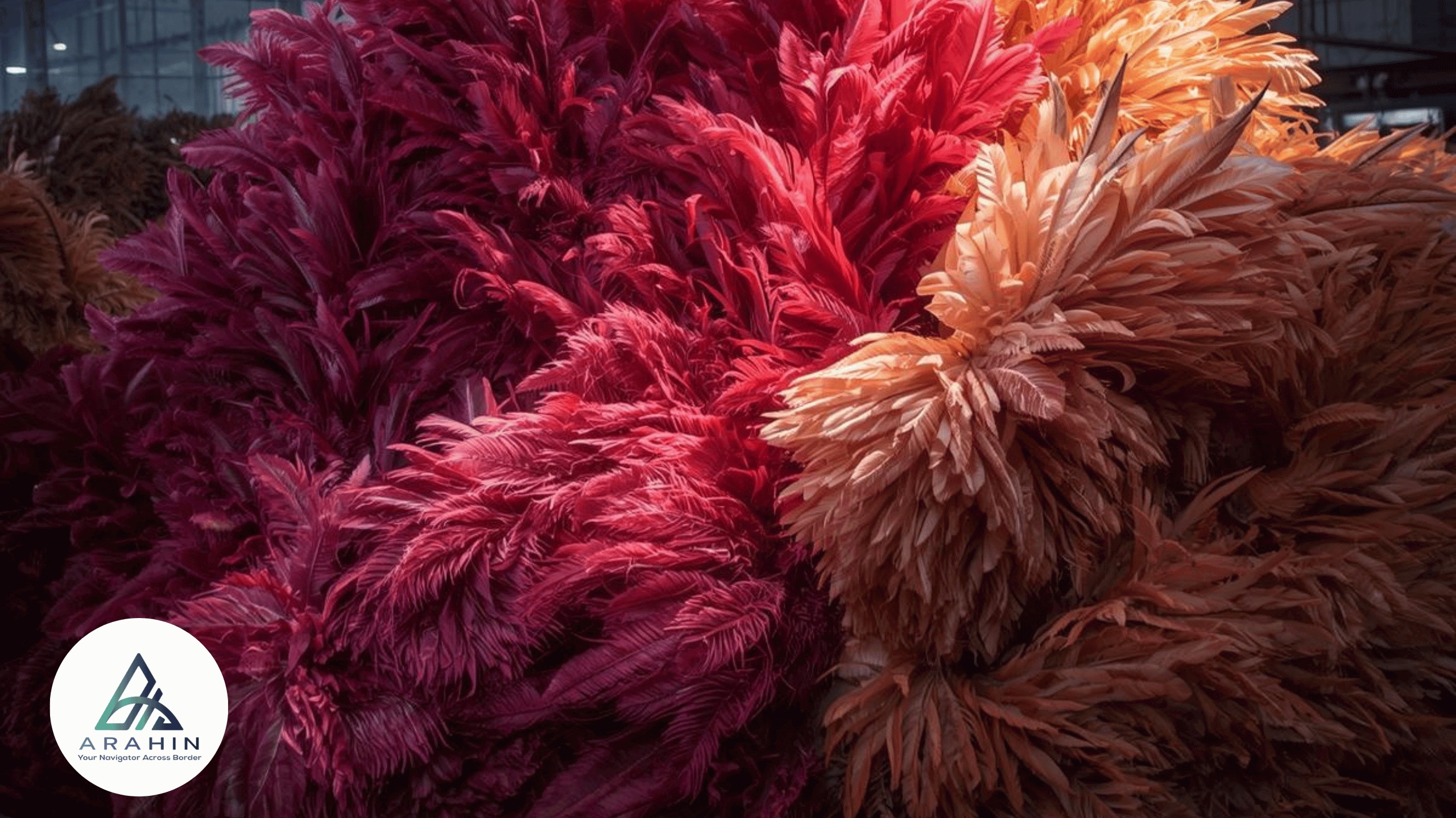 Impor Bulu Kalkun dari China: Peluang Bisnis Dekorasi dan Kerajinan yang Menguntungkan