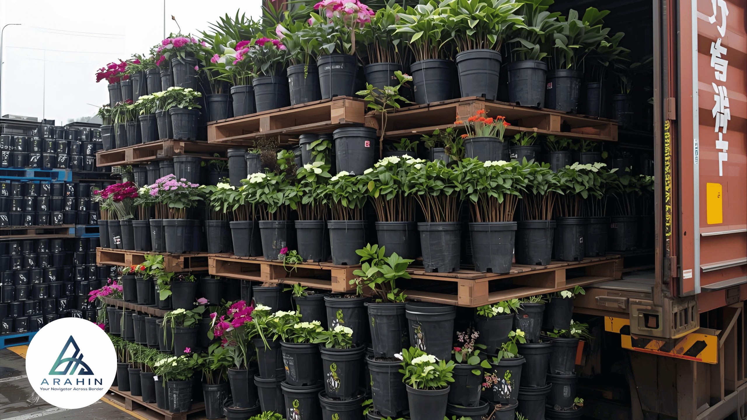 Impor Pot Bunga dari China: Peluang Bisnis dan Panduan Lengkap